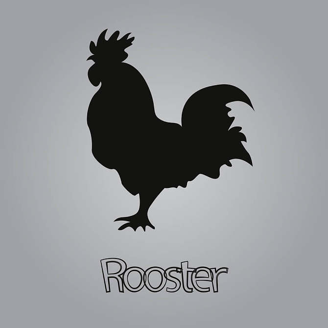 图像_公鸡_黑色_简单_剪影_标识_高清图片_全景视觉