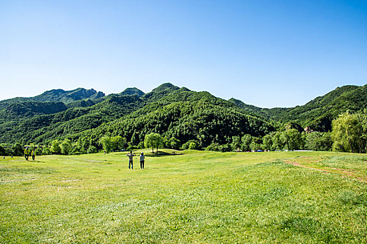 玉渡山,高山草甸,草地