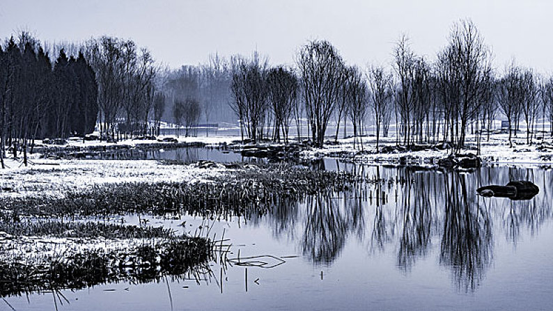 奥森公园雪景图片_奥森公园雪景高清图片_全景视觉