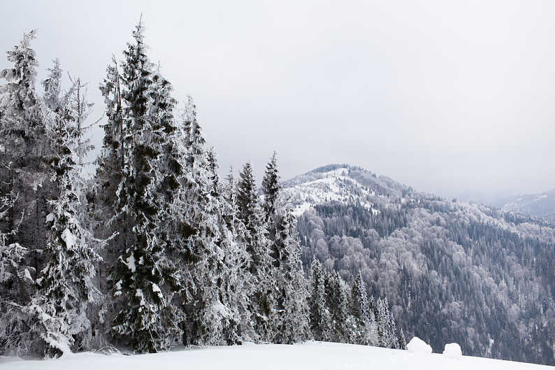 冬季风景_雪_树_喀尔巴阡山脉地区_高清图片_全景视觉