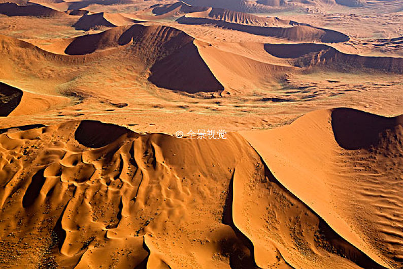 namib desert beetle,beetleinsect 不需要肖像权授权 标 题:flight over the dunes of the namib desert