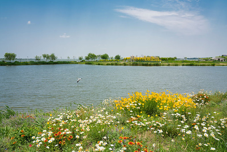 衡水湖湿地风光_高清图片_全景视觉