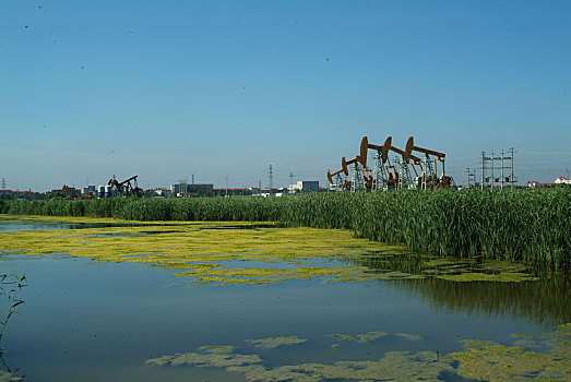 大庆油田风光图片