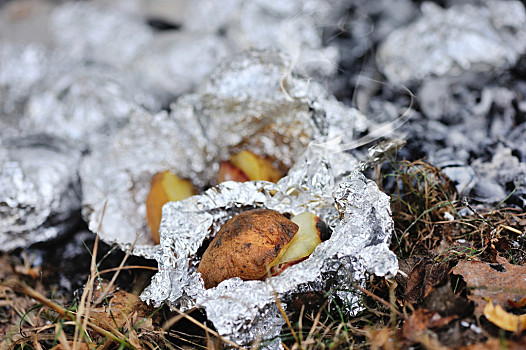 烤土豆,遮盖,铝箔,烤制,篝火