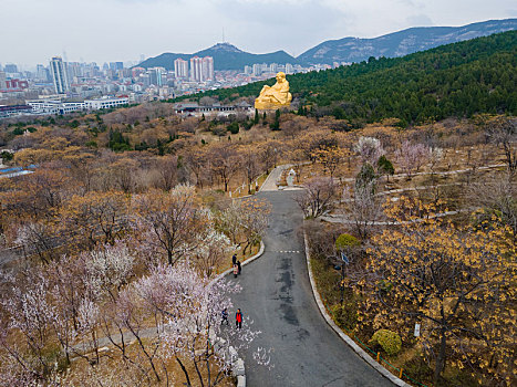 千佛山风景区图片