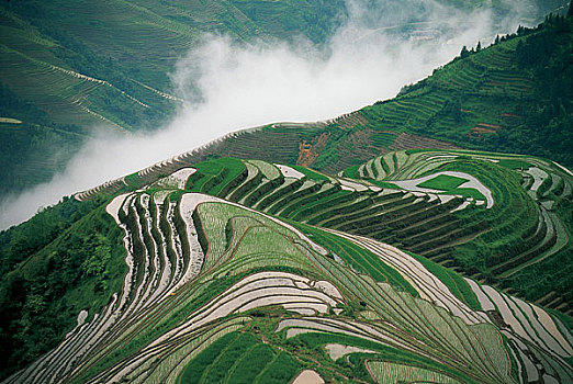 图案,石头,特写云南丽江古城北京故宫山毛榉,树林云南元阳梯田云南