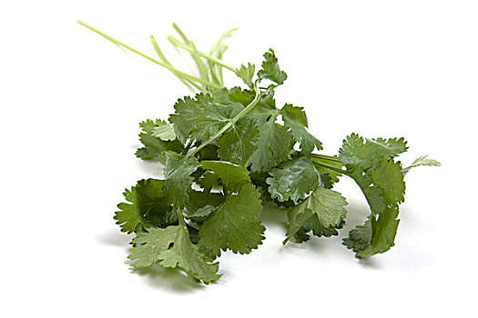 圣诞节,成分,切片,韭葱,斯蒂尔顿干酪,奶酪,胡荽,猪肉,野蘑菇芫荽子