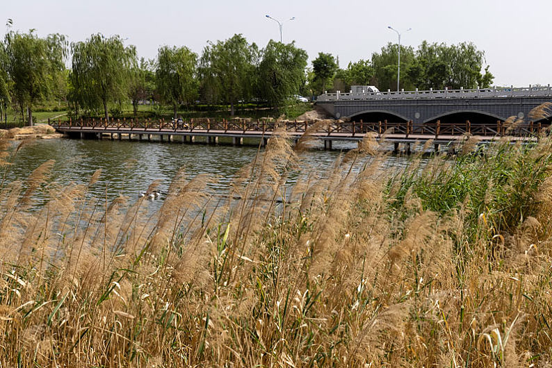 郓城县,南湖公园风光图片_郓城县,南湖公园风光图片