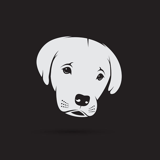 矢量_图像_拉布拉多犬_小狗_脸_黑色背景_狗_设计_高清图片_全景视觉
