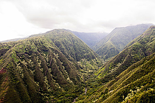 沙漠里的救援工具风景,红色,砂岩山路,盛开,杜鹃花属植物,山谷,小路