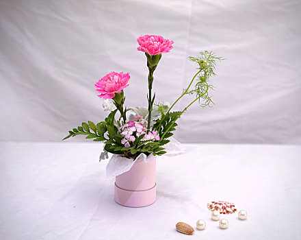鲜花花束插画艺术摄影