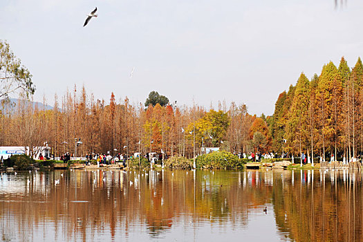 滇池海埂公园