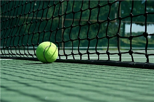 网球,靠近,球网