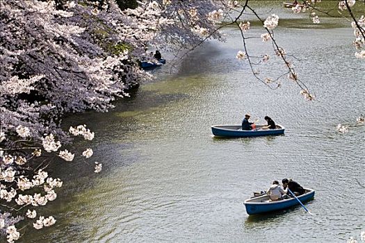 人,划艇,公园,东京,日本,俯拍