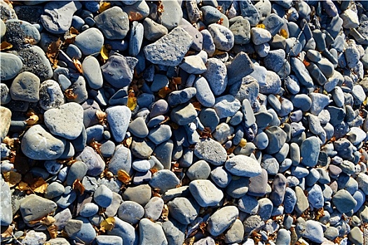 石头,岸边,安大略湖