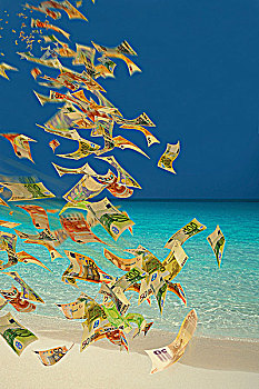 欧元,钞票,飞跃,热带沙滩,税