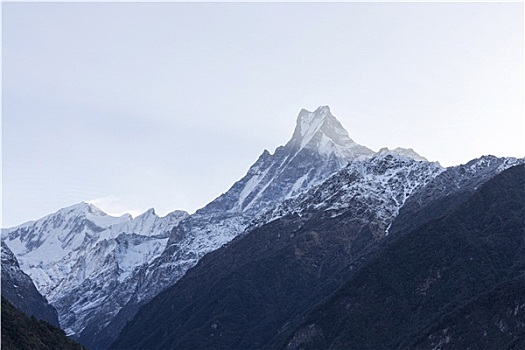 鱼尾,山,尼泊尔
