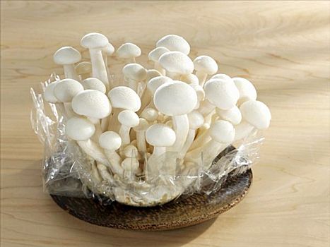 蘑菇,木盘
