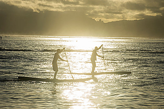 站立,桨手,锻炼,日落,帕皮提,塔希提岛,法属玻利尼西亚