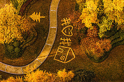 秋天的小區花園