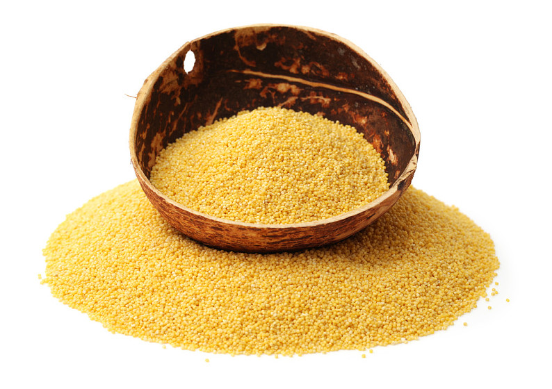 黍图片_黍高清图片_全景视觉