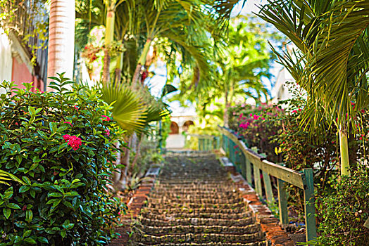 维京群岛,夏洛特阿马利亚,台阶