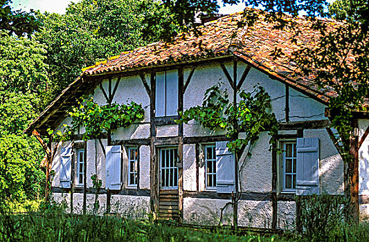 法国,朗德,传统,半木结构,粘土,房子,18世纪