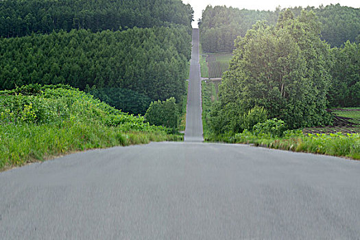 日本北海道公路
