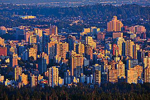 建筑,城市,温哥华,不列颠哥伦比亚省,加拿大