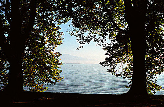 风景,湖