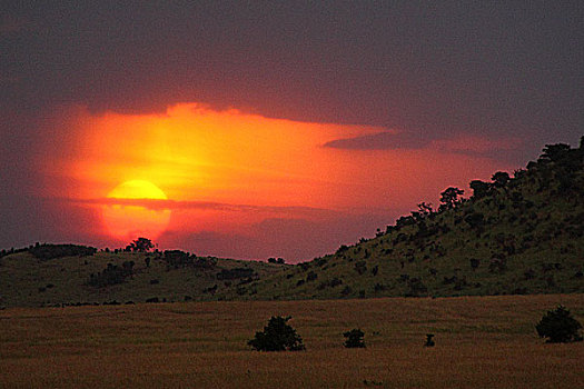 肯尼亚非洲大草原落日