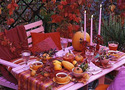 茶桌,秋天装饰