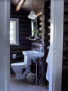 现代,浴室,小屋,敞门