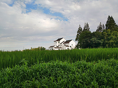 田园风光,乡村美景