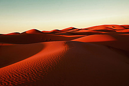红色,橘色,大,月牙状,沙漠,沙丘,撒哈拉沙漠,摩洛哥