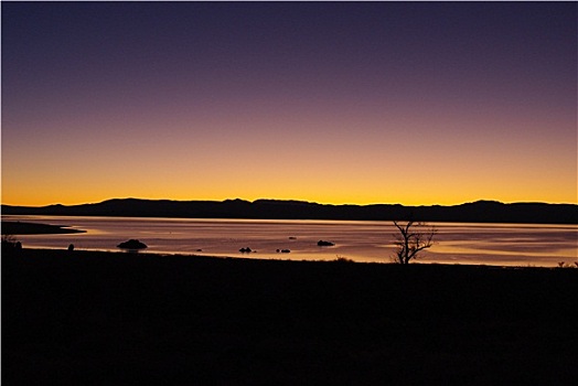 第一,晨光,莫诺湖,加利福尼亚
