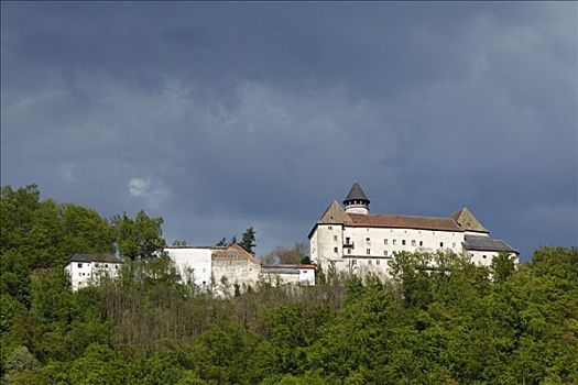 城堡,多瑙河,山谷,上奥地利州,奥地利,欧洲