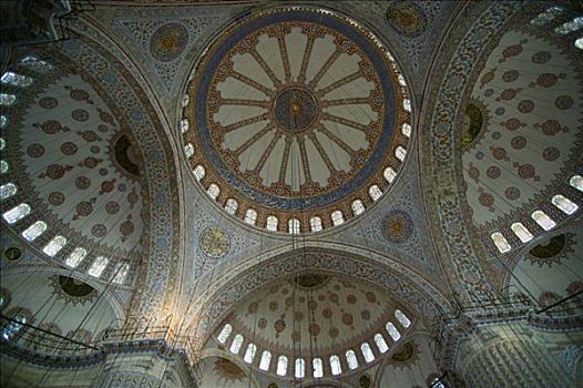 土耳其,伊斯坦布尔,蓝色清真寺,圆顶