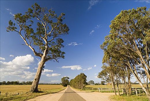 乡村道路,维多利亚,澳大利亚