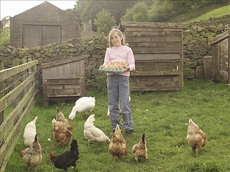 女孩,拿着,托盘,蛋,母鸡