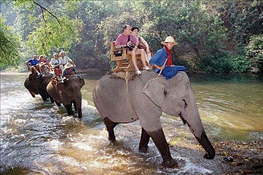 游客,乘,亚洲象,象属,清迈,泰国