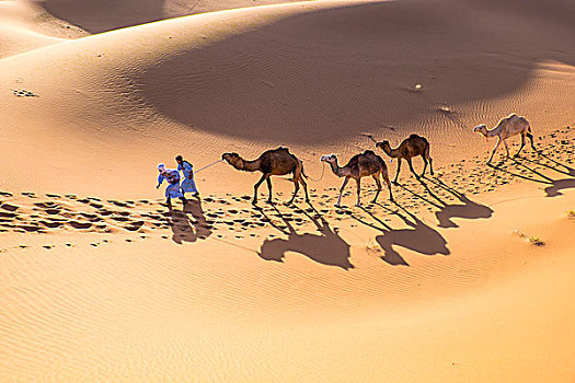 摩洛哥,撒哈拉,沙丘,使用,只有