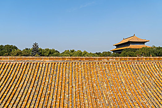 紫禁城,故宫博物院