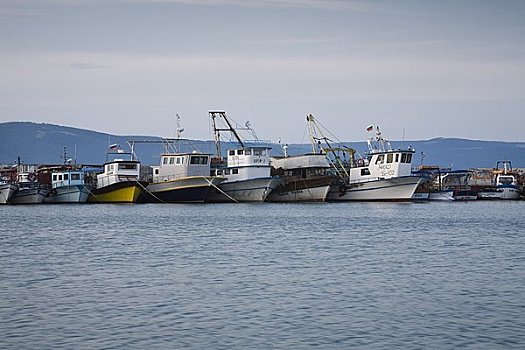 渔船,黑海,内塞巴尔,省,保加利亚