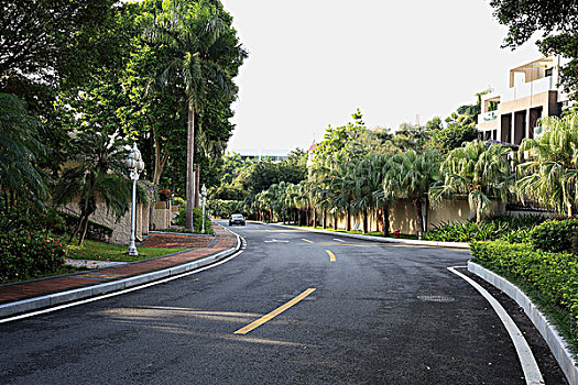 美丽的园林道路