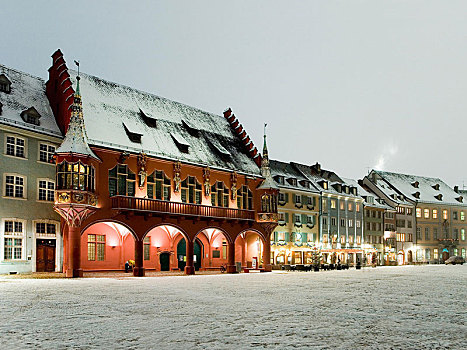 冬天,布赖施高,巴登符腾堡,德国,欧洲