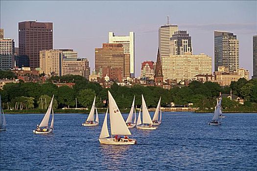 帆船,河,查尔斯河,波士顿,马萨诸塞,美国