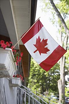 加拿大国旗,飞,门廊