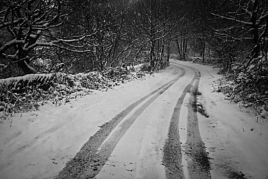 轮胎,落下,雪,道路,黃昏,树,冬天,西约克郡,英国