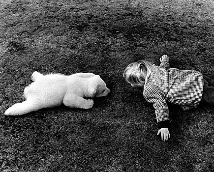 小,北极熊,女孩,躺着,草地,英格兰,英国